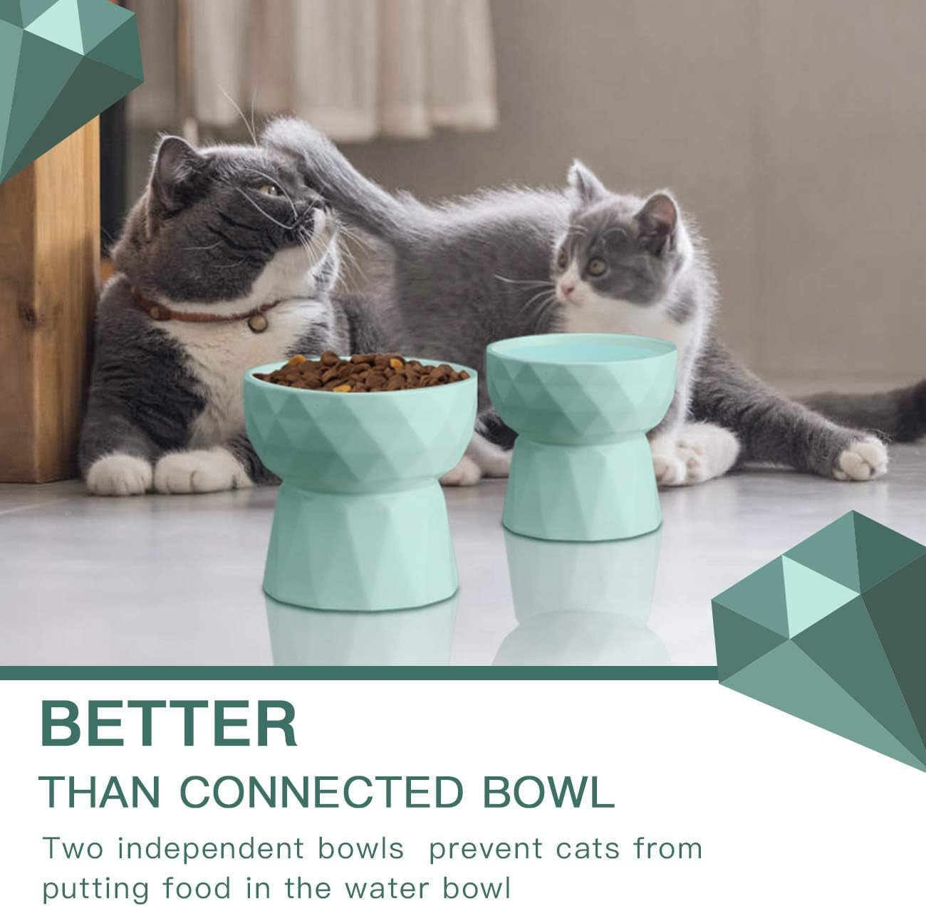 Raised Ceramic Cat Bowl Set for Food & Water