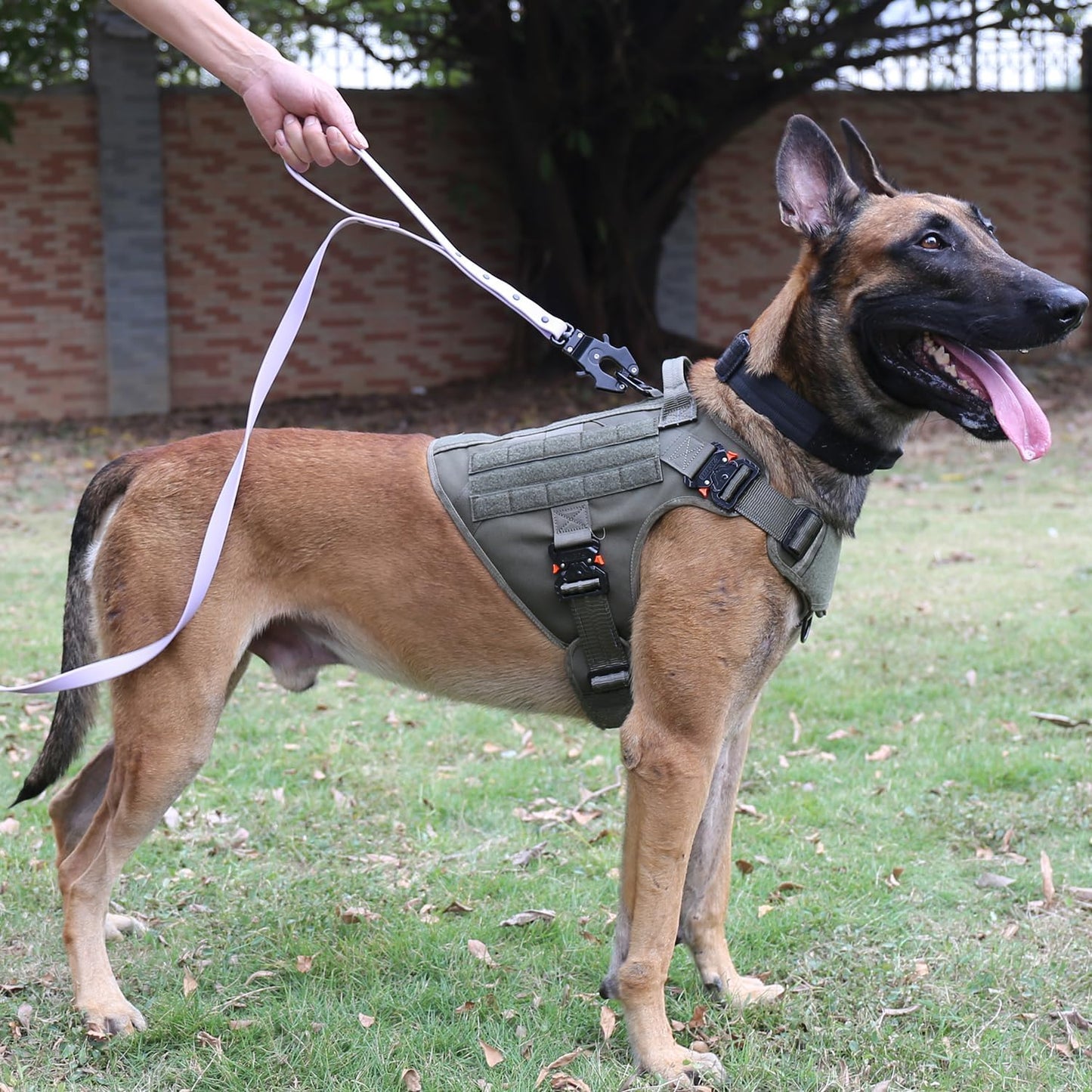 Heavy-Duty No-Pull Tactical Dog Harness with Handle – Adjustable MOLLE K9 Vest for Large Dogs