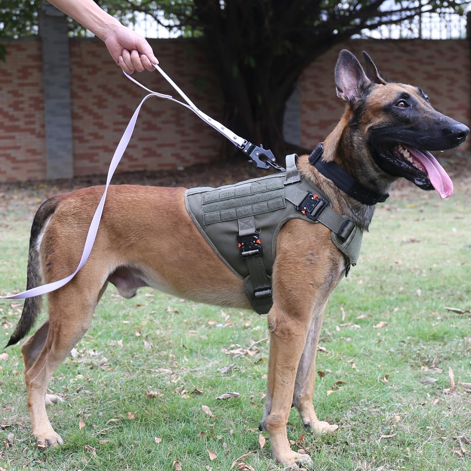 Heavy-Duty No-Pull Tactical Dog Harness with Handle – Adjustable MOLLE K9 Vest for Large Dogs