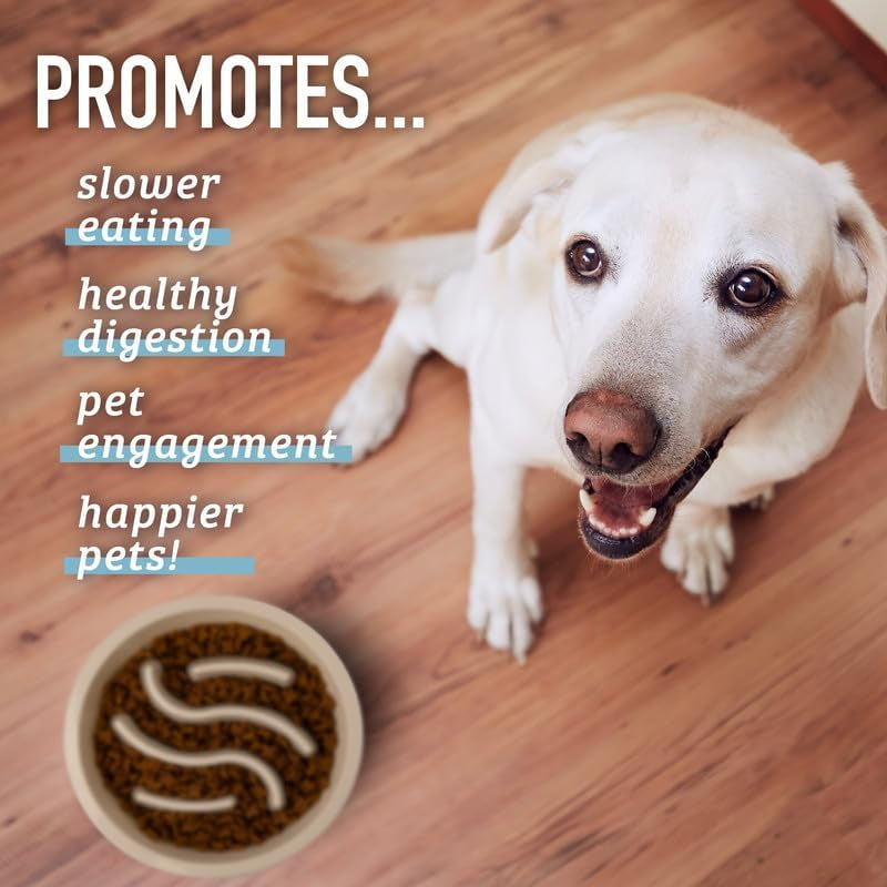 Slow Feeder Dog Bowl – 2-Cup Puzzle Food Bowl