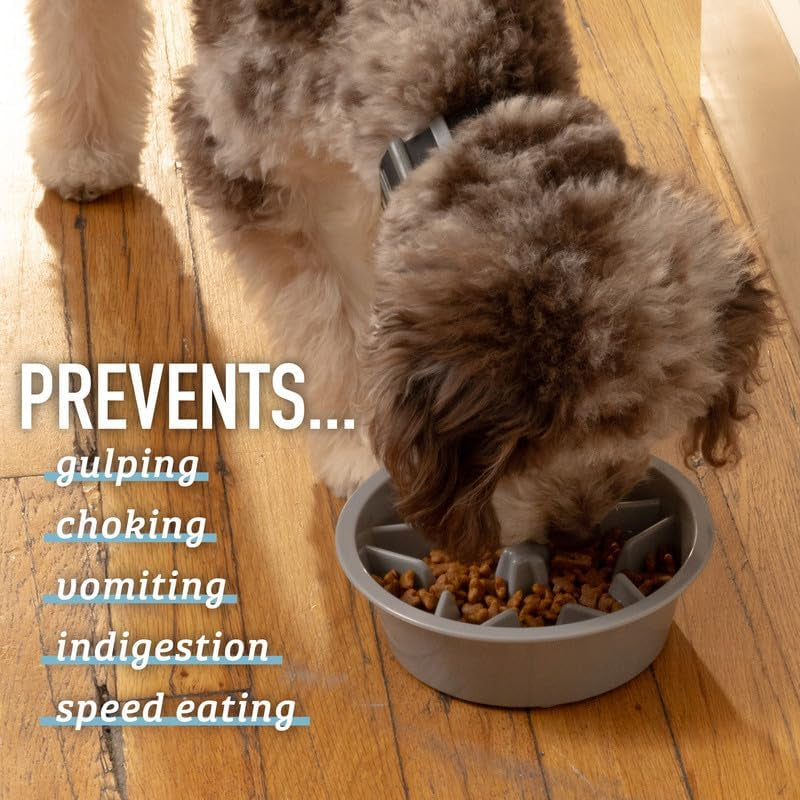 Slow Feeder Dog Bowl – 2-Cup Puzzle Food Bowl