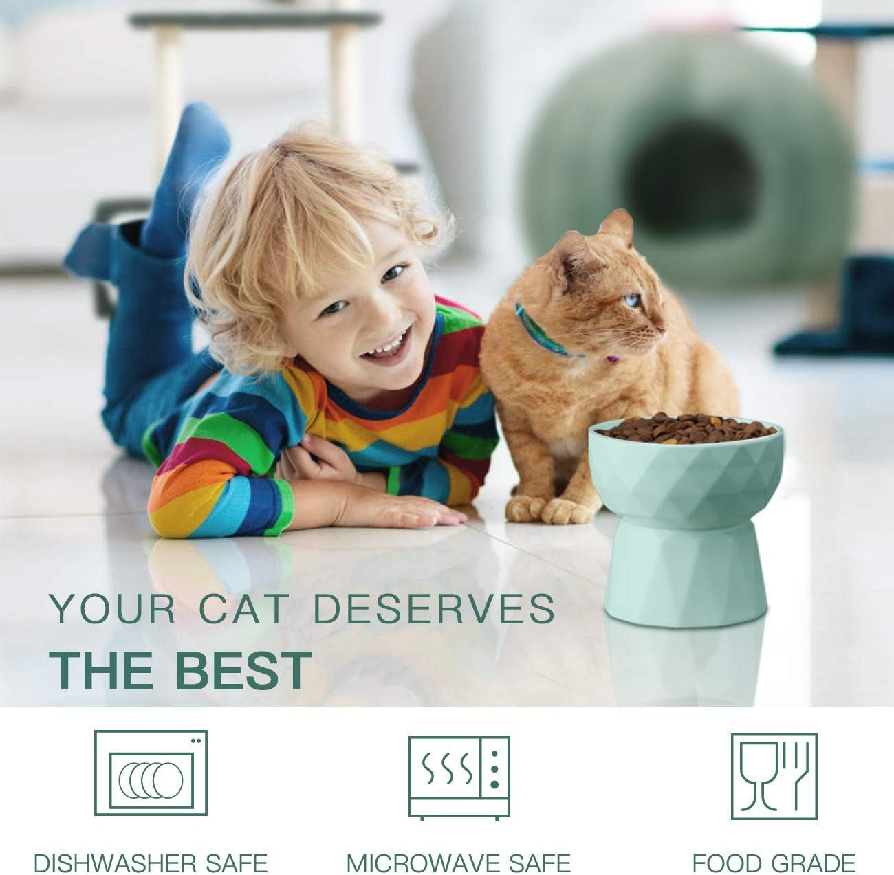 Raised Ceramic Cat Bowl Set for Food & Water