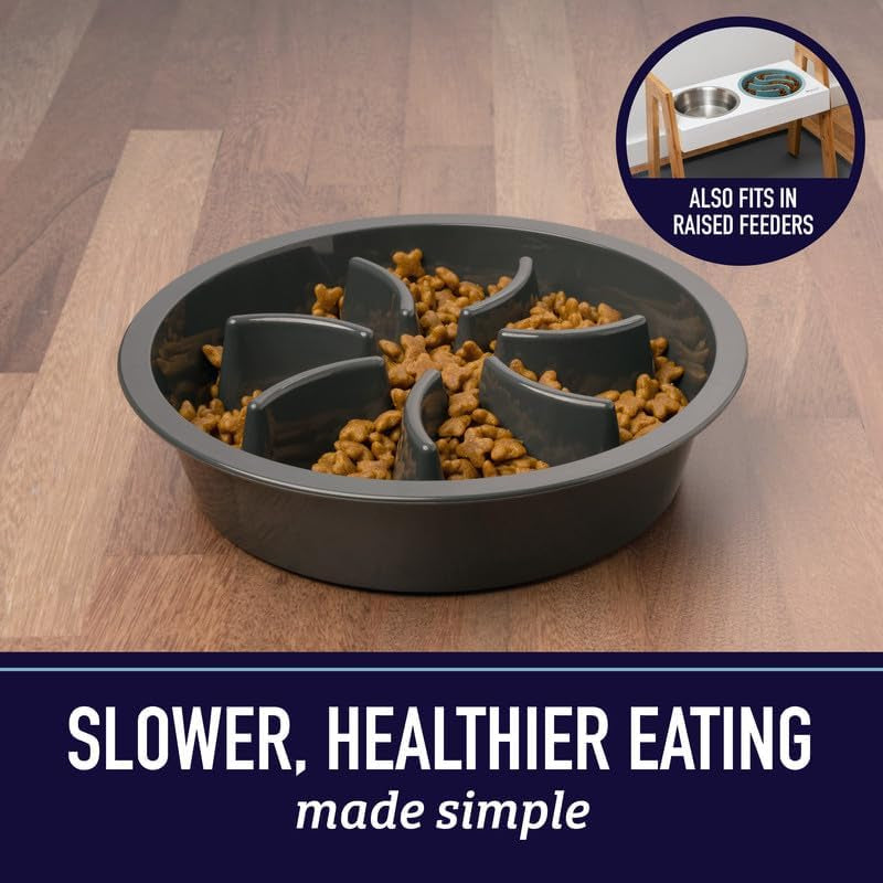 Slow Feeder Dog Bowl – 2-Cup Puzzle Food Bowl